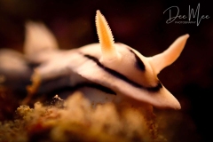 20260508_084840-1f37