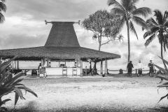Fiji-32