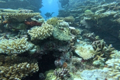 GX01012728