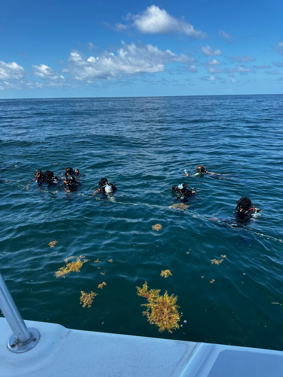BIMS Immersion Program photo highlight