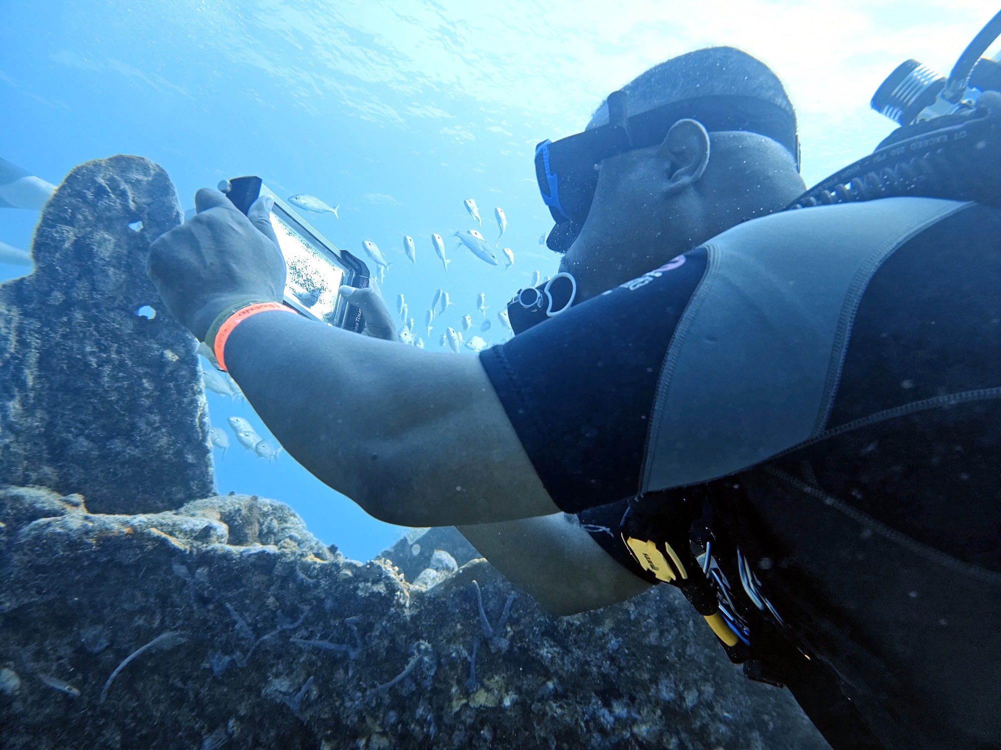 Underwater photo contest image 2