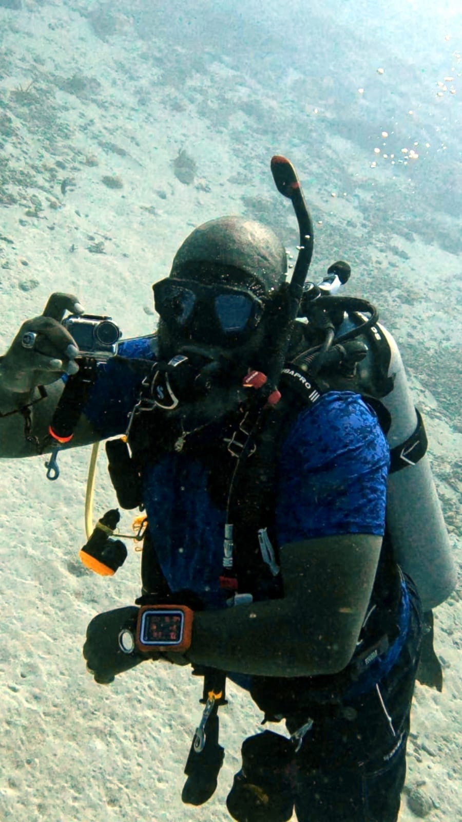 Underwater photo contest image 1